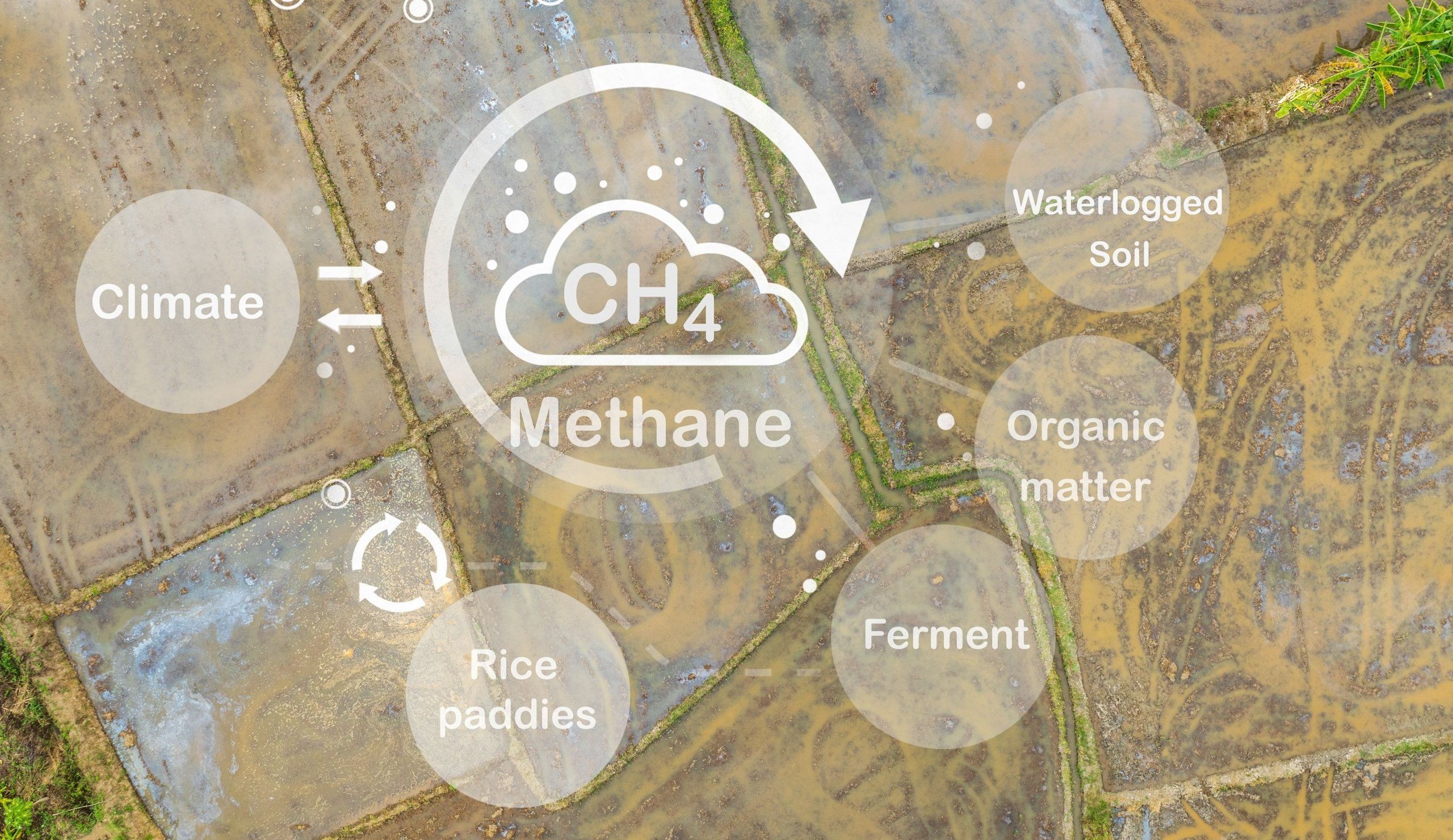 Photo – Global methane emissions are rising rapidly to record levels, – scientists
