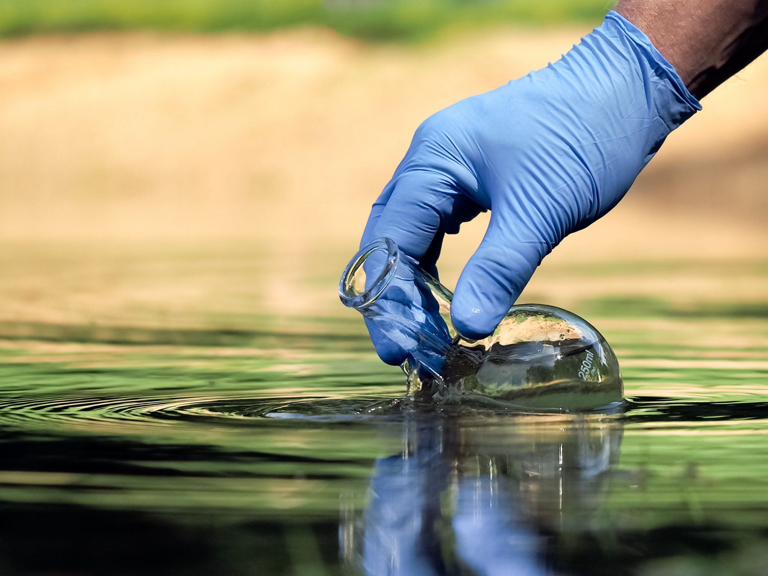 Photo – The dirtiest and cleanest rivers of Lviv region are named