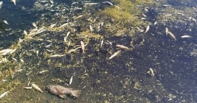 Фото – Стало відомо, коли забруднені води Сейму дістануться до Чернігова