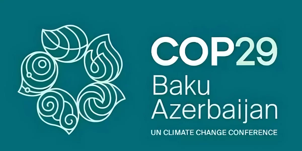 Photo – Ukraine at COP29: the Ministry of Environment talked about plans and expectations