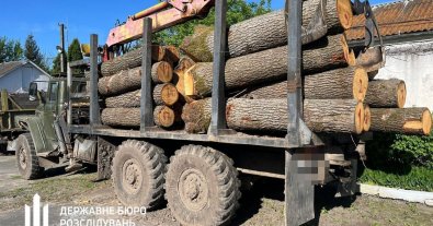 Фото – На Хмельниччині судитимуть “чорних лісорубів”, які завдали збитків на 3,3 млн грн