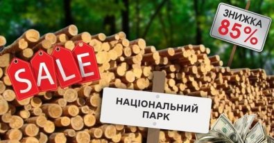 Фото – В нацпарках действуют крупные теневые схемы продажи древесины, – экс-сотрудники