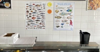 Фото – Шкарпетопус і сміттєва риба: креативники зробили зі сміття "жителів" океану