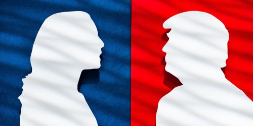 Позиция Гаррис и Трампа по ключевым климатическим вопросам: есть ли общие точки