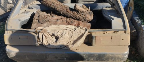 На Николаевщине мужика с двумя пеньками экоинспекторы оштрафовали на 510 грн