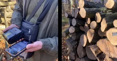 Photo – Ukrainian foresters have learned to circumvent the new state system of logging control – media