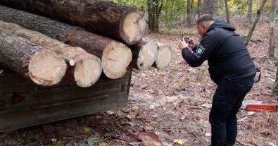 Photo – In Cherkassy, eco-activists and the police caught national park workers illegally felling