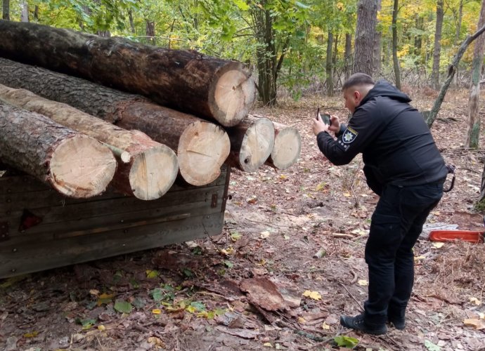 In Cherkassy, ​​eco-activists and the police caught national park workers illegally felling