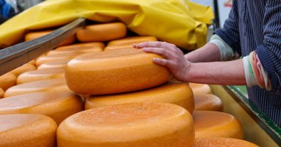 Фото – Мінус гауда та діжонська гірчиця: названі продукти, які зникнуть через зміну клімату