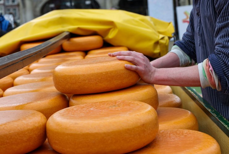 Минус гауда и дижонская горчица: названы продукты, которые исчезнут из-за изменения климата