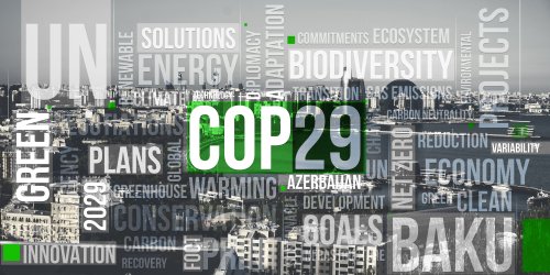 Група BASIC на COP29 звинуватила розвинені країни у перешкоджанні їхнім кліматичним діям
