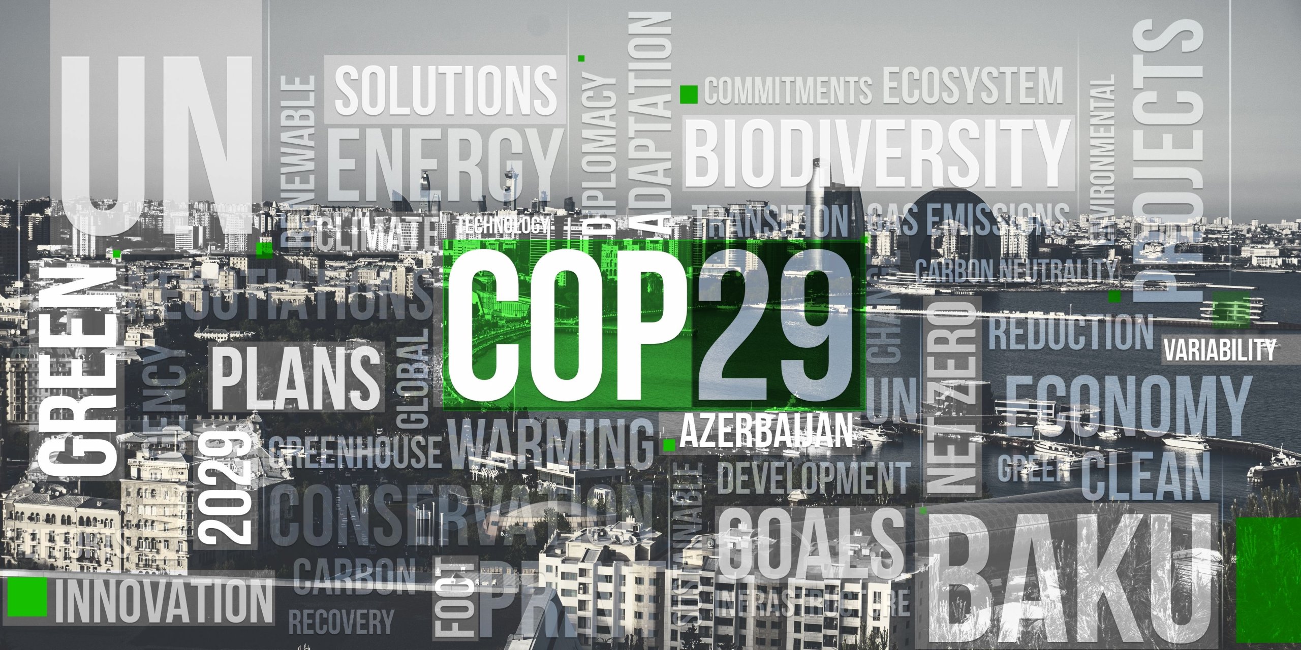 Photo – BASIC Group at COP29 accuses developed countries of obstructing their climate action