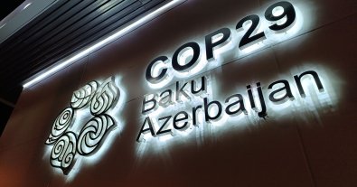 Photo – COP29 is over: what countries managed to agree on