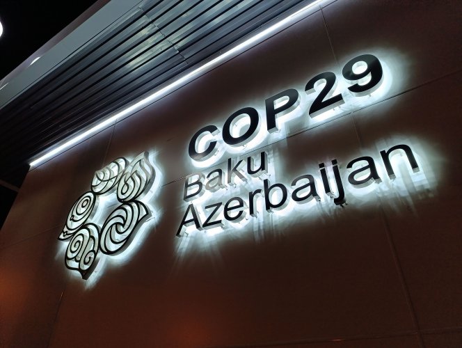 COP29 is over: what countries managed to agree on