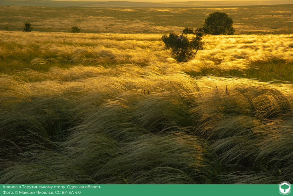 wikilovesearth.org.ua