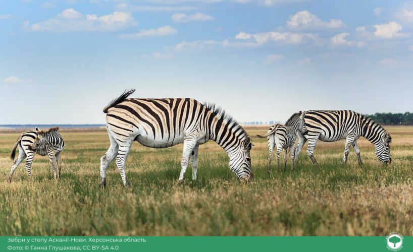 10 best photos of Ukrainian nature in the photo contest