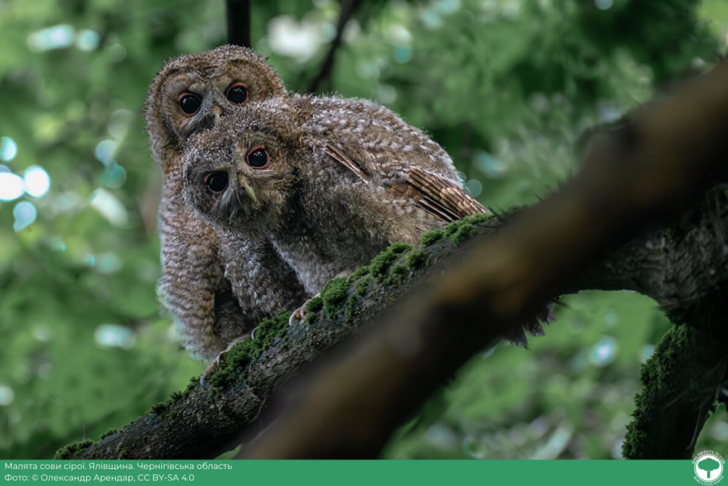 wikilovesearth.org.ua