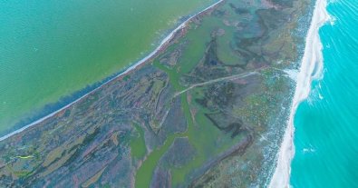 Фото – Стан води у Чорному морі та прилеглих до нього лиманах поступово покращується, – еколог