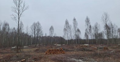 Фото – Екологічні порушення із найбільшою шкодою за 7-13 грудня. Дайджест