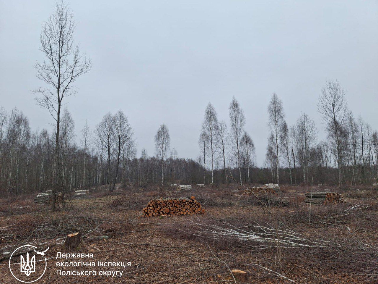 Photo – Environmental violations with the greatest damage for December 7-13. Digest