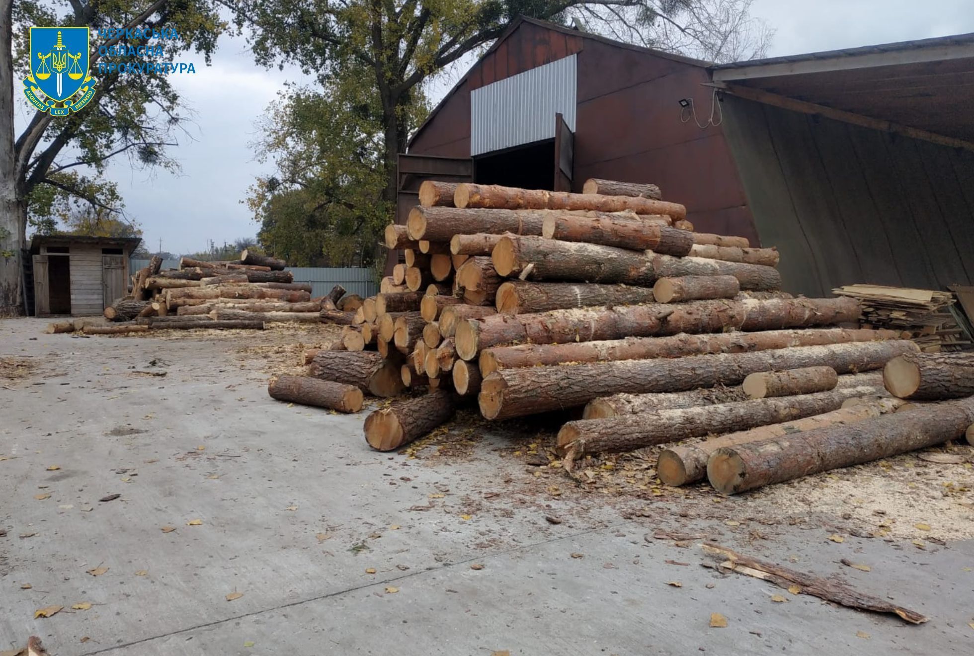Photo – The most significant environmental violations from January 4 to 10. Digest