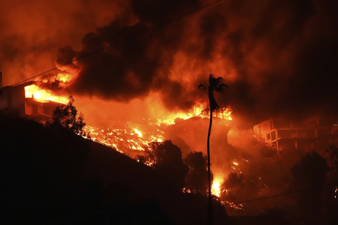 Photo – The Oscars have been postponed in the United States due to a large-scale environmental disaster. Photos, video