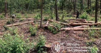 Photo – The most resonant environmental violations from January 25 to 31. Digest