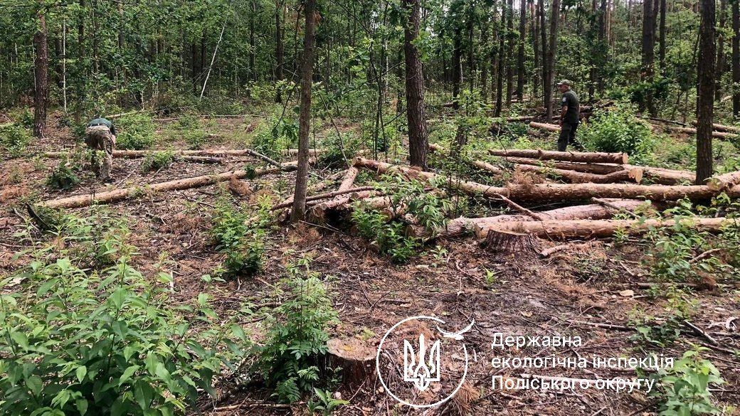 Фото – Найбільш резонансні екопорушення з 25 по 31 січня. Дайджест