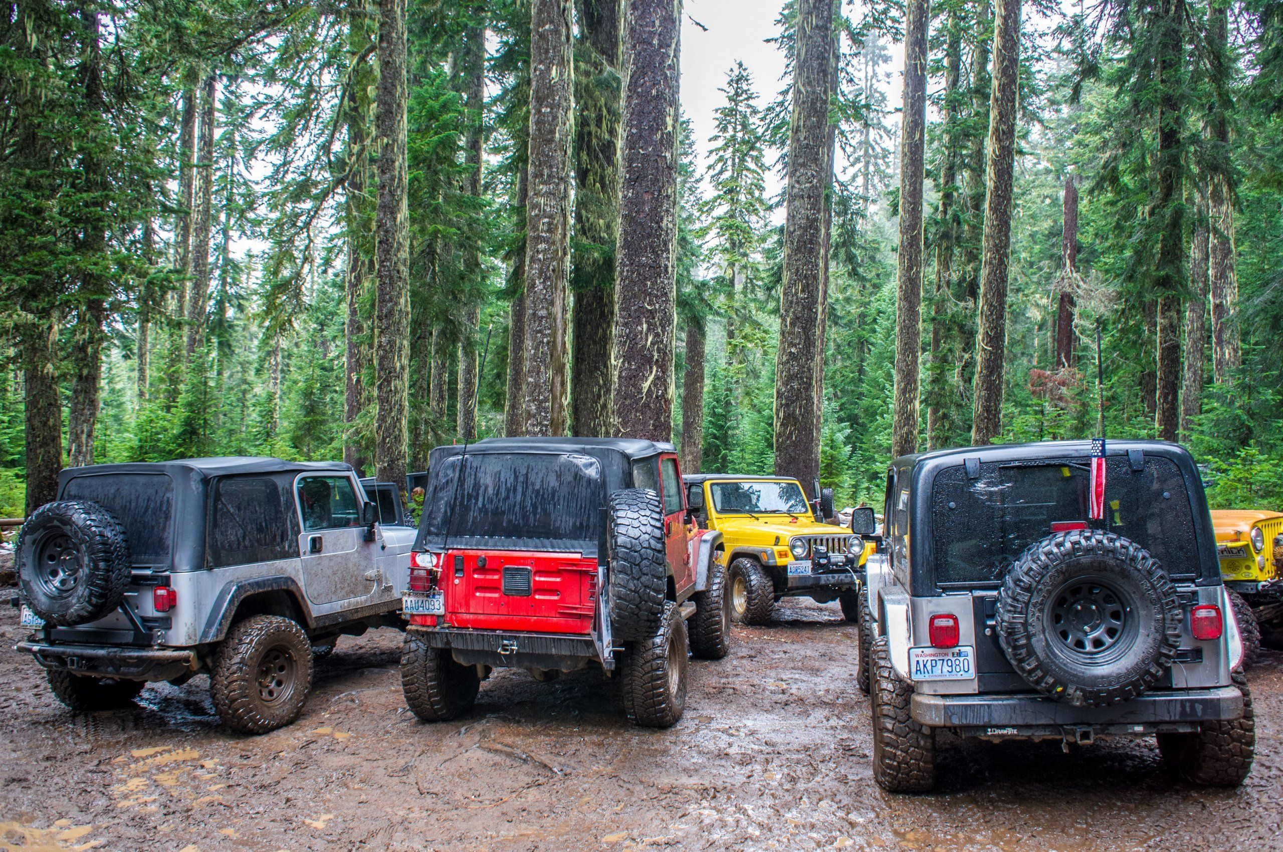 Photo – MPs are in favor: only the president's signature is left to ban jeeping in national parks