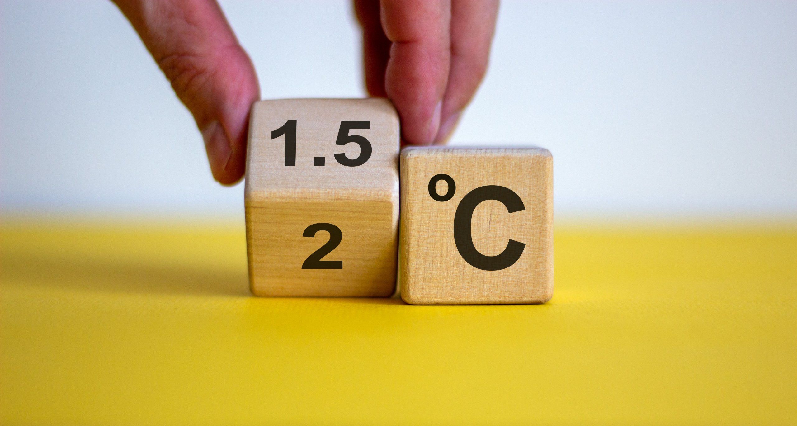 Photo – The world is on the verge of a climate catastrophe: scientists have shown staggering figures