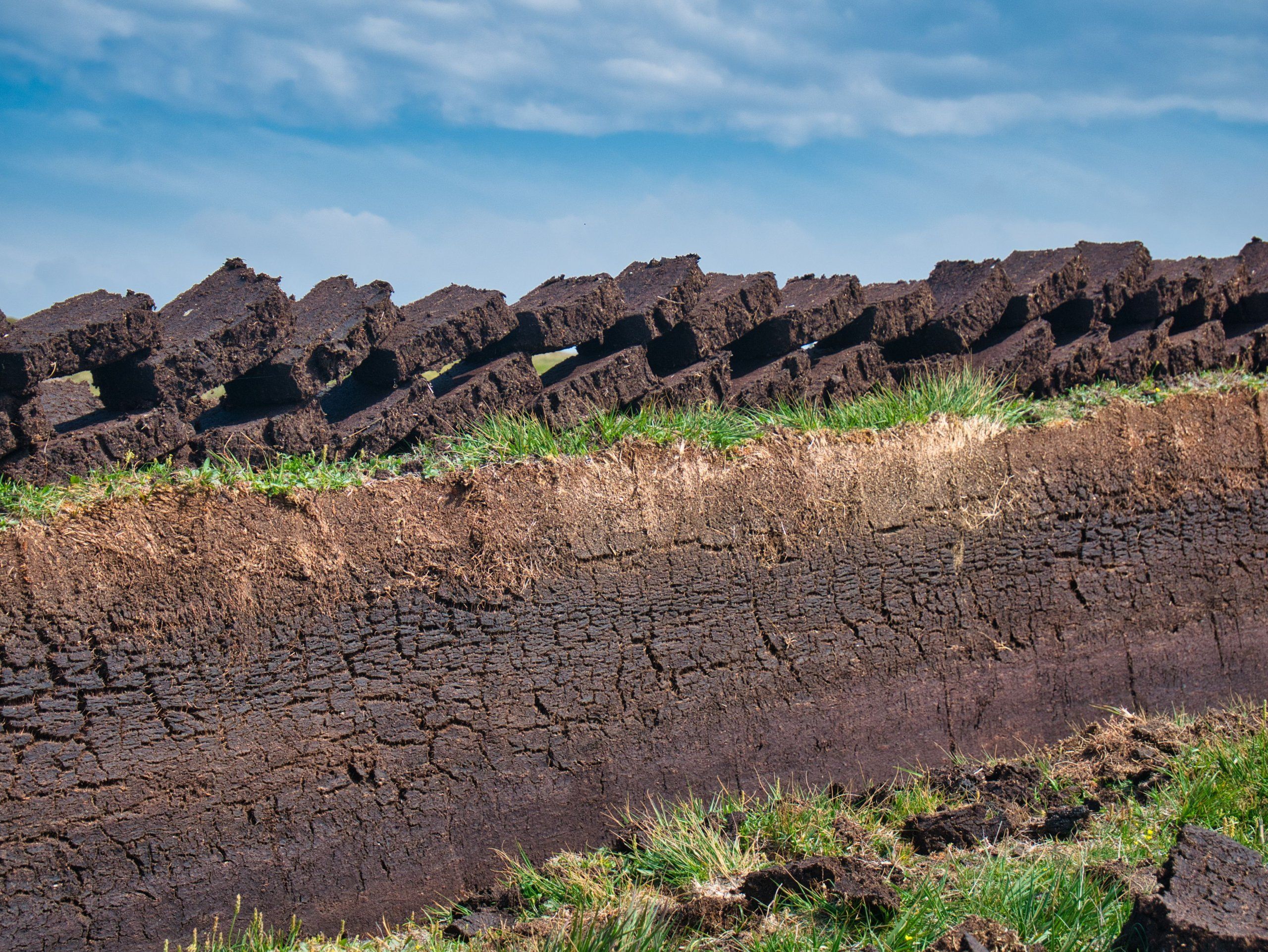 Photo – How peat extraction leads to the destruction of nature: video