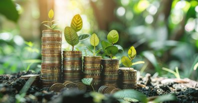 Photo – In 2024, businesses of Dubno district in Rivne region paid almost UAH 600 thousand of eco-tax