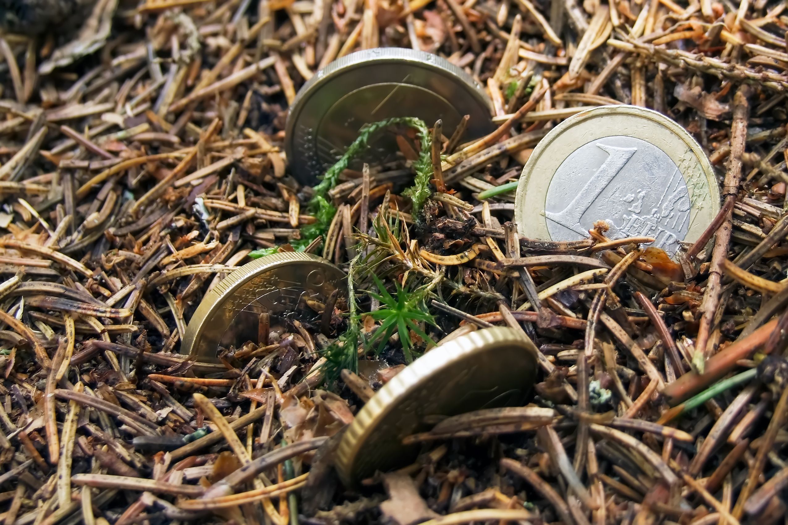 Photo – Media report on foresters' fraud with the electronic timber accounting system
