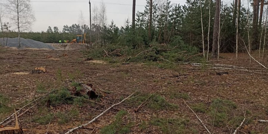 Попри заборону суду у Мархалівському лісі тривають рубки
