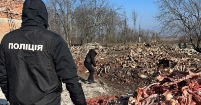 Photo – Environmental violations with the greatest damage for February 15-21. Digest