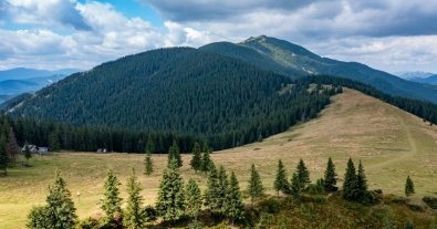 Фото – На Закарпатті облрада незаконно змінила межі заказника "Темнатик", – УПГ