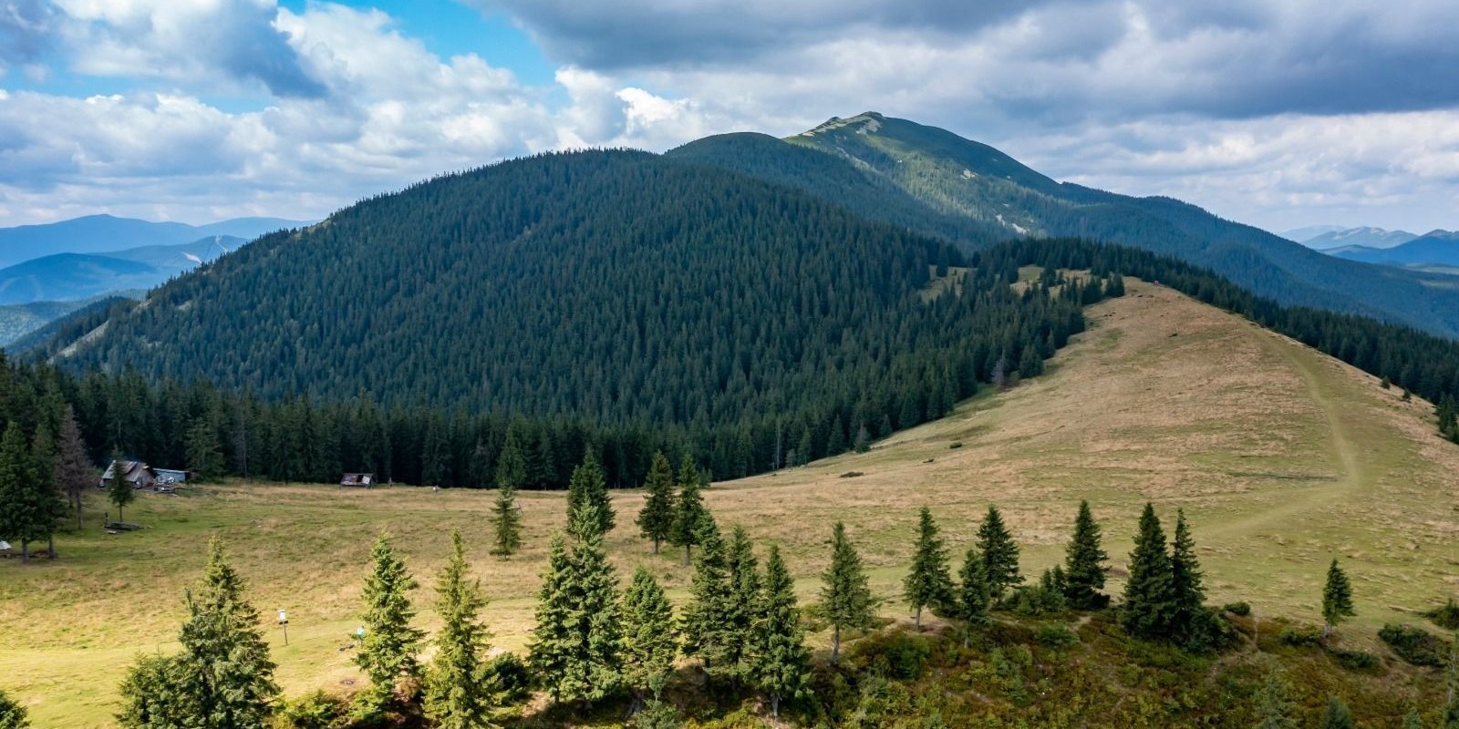 Photo – Zakarpattia Regional Council illegally changed the boundaries of a nature reserve