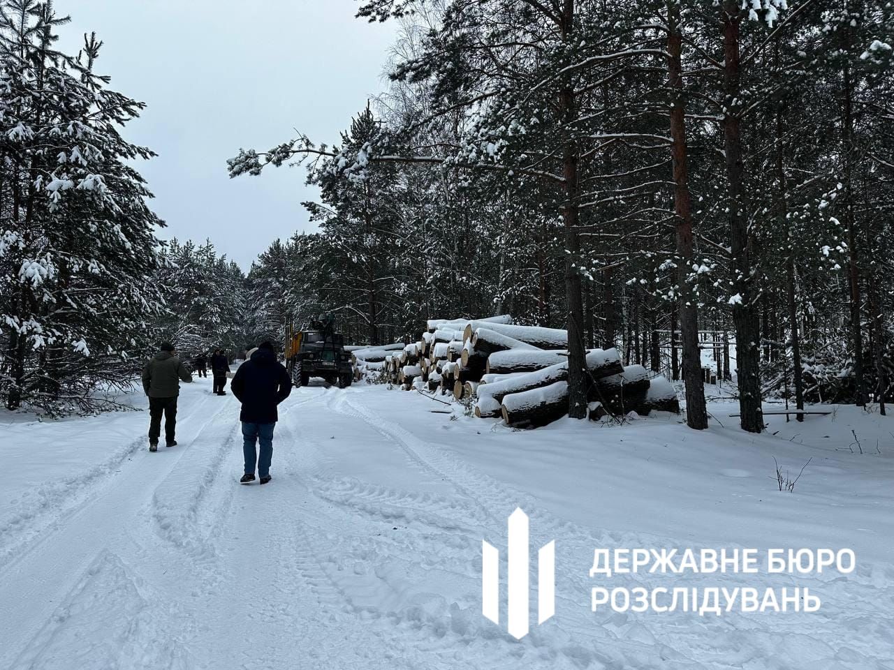 Photo – The most significant environmental violations from February 1 to 7. Digest