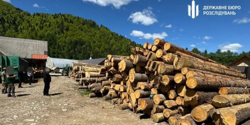Найбільш резонансні екопорушення з 24 по 30 травня. Дайджест