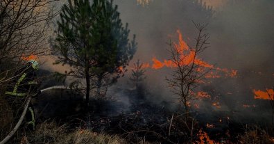 Photo – Firefighters reveal shocking statistics regarding the area and number of fires in Ukraine over the day