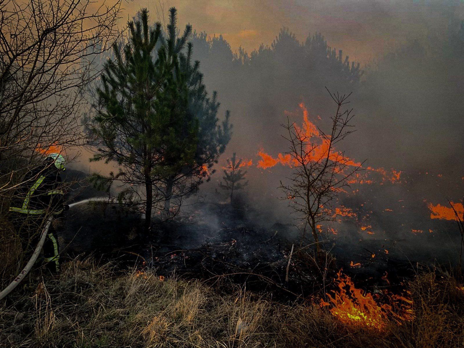 Photo – Firefighters reveal shocking statistics regarding the area and number of fires in Ukraine over the day