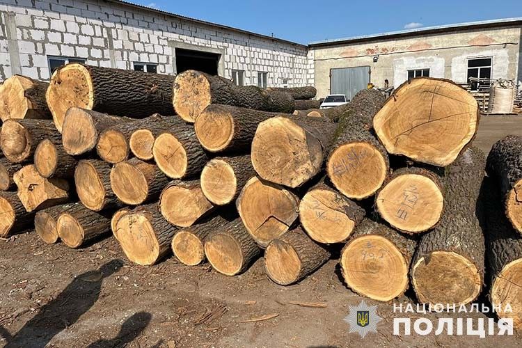 Фото – Наиболее значительные экологические нарушения с 5 по 11 апреля. Дайджест