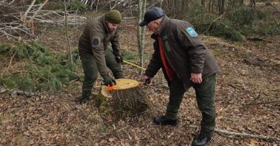 Photo – Environmental violations with the most damage for April 12-17. Digest
