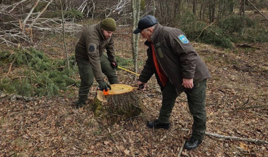 Экологические нарушения с наибольшим ущербом за 12-17 апреля. Дайджест