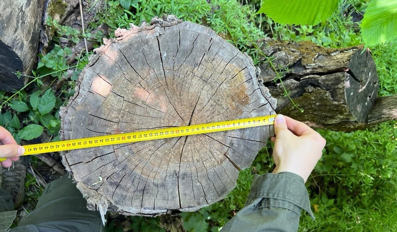 Photo – The most high-profile environmental violations occurred from March 29 to April 4. Digest