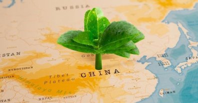 Фото – Китай хоче жорстко обмежити викиди парникових газів вже протягом десятиліття