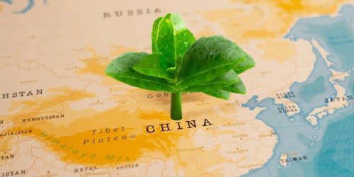 China wants to strictly limit greenhouse gas emissions within a decade