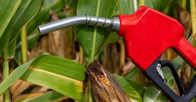 Photo – OKKO is building a biofuel plant for €110 million
