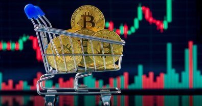 Photo – Head of the Environmental Committee declared cryptocurrency worth UAH 279 million