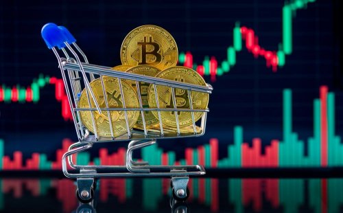 Head of the Environmental Committee declared cryptocurrency worth UAH 279 million